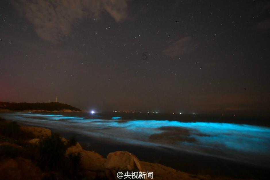 燃烧吧大脑装瓶子游戏