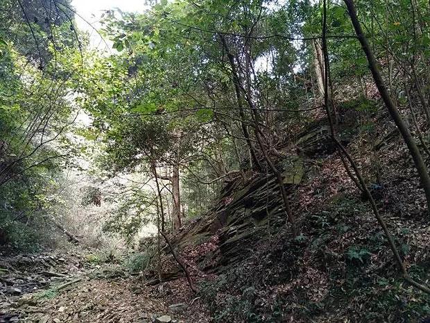 拯救精灵的土地10
