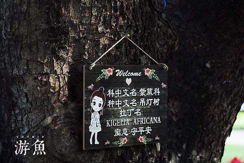 方块搭桥