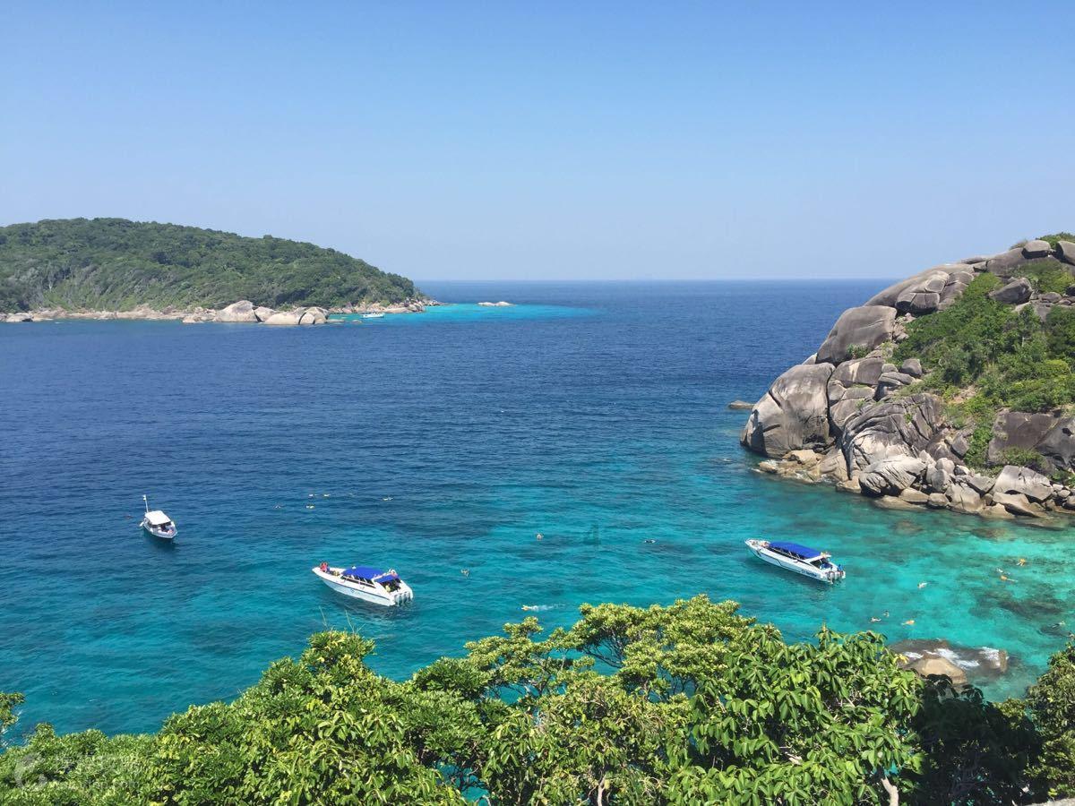 除鬼师