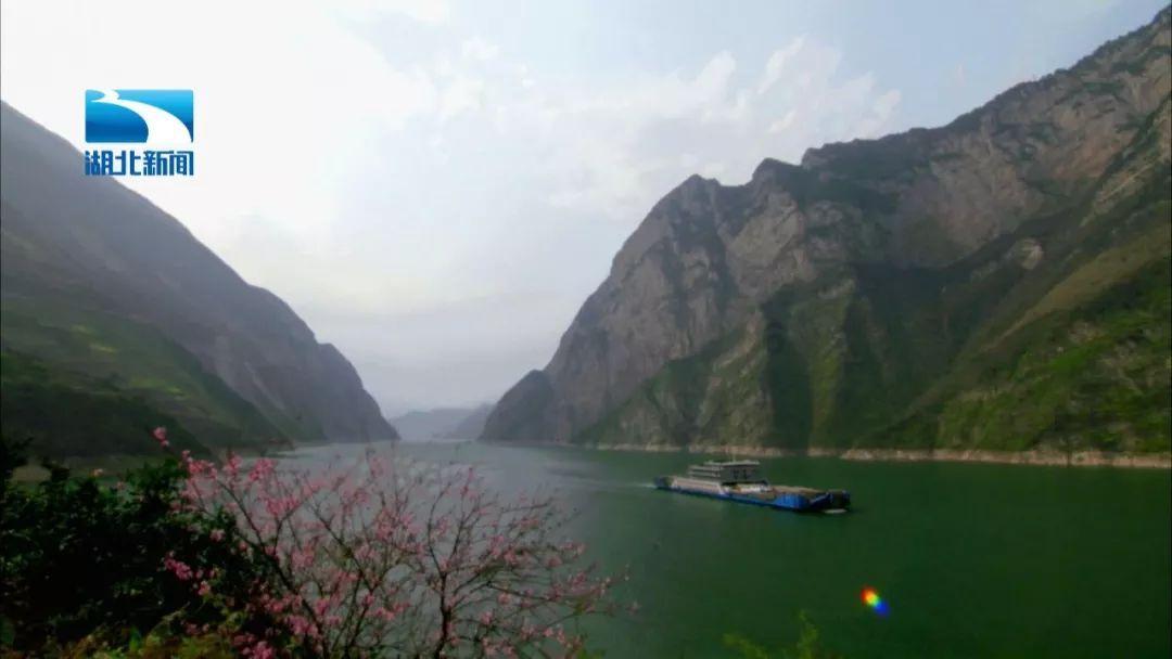 逃离水虎鱼湖