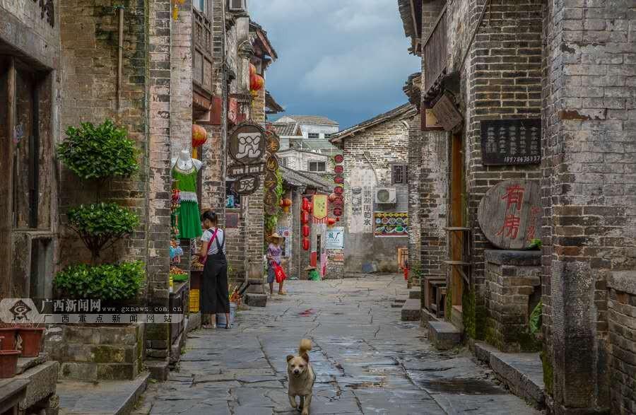 逗小猴开心系列211