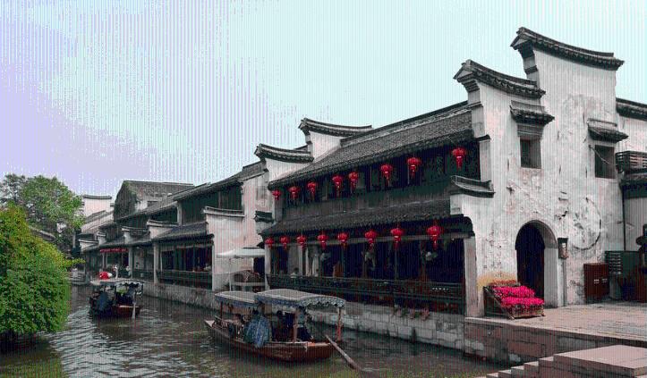 照顾小兔宝宝